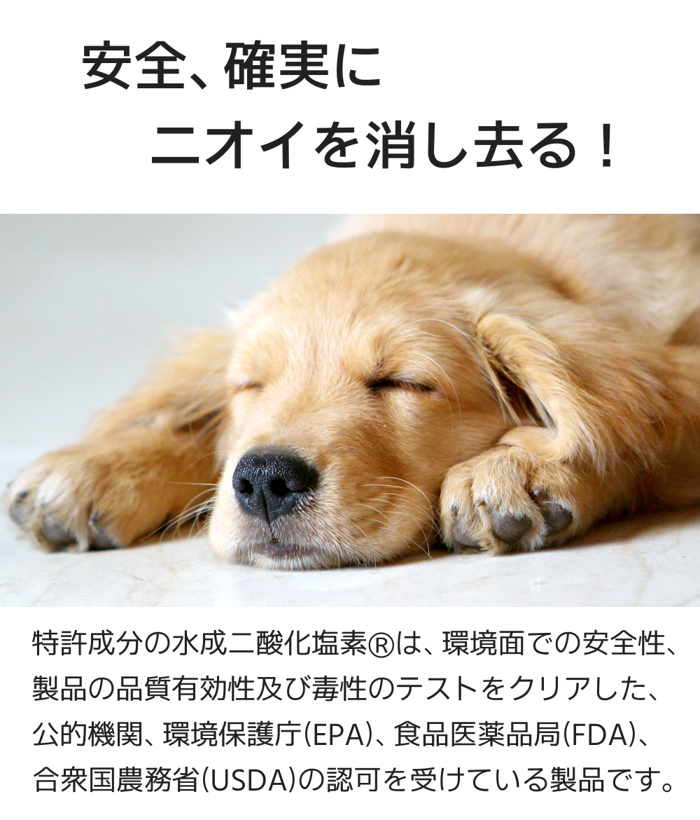 Odor Vanish - Petz (オドバニッシュ・ペッツ) 犬のおしっこ・うんち・マーキングのニオイを強力に消し去る消臭スプレー 大容量 詰め換えパック 1000mL