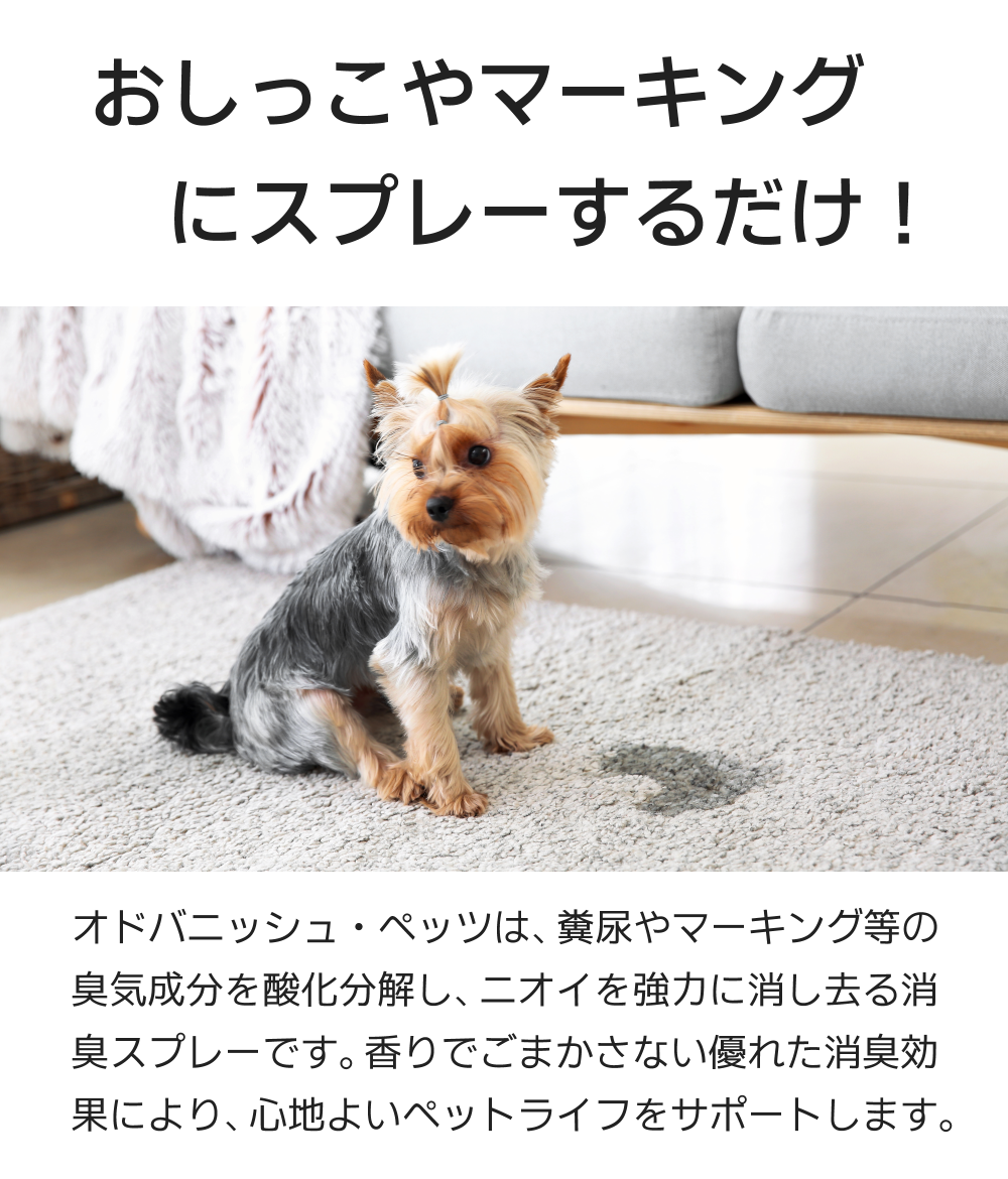 Odor Vanish - Petz (オドバニッシュ・ペッツ) 犬のおしっこ・うんち・マーキングのニオイを強力に消し去る消臭スプレー 大容量 詰め換えパック 1000mL