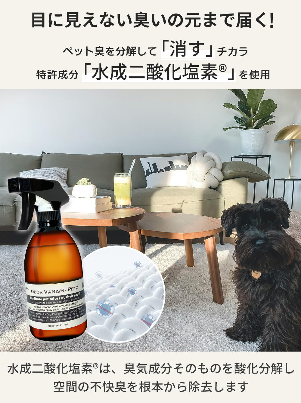 Odor Vanish - Petz （オドバニッシュ・ペッツ） 犬のおしっこ・うんち・マーキングのニオイを強力に消し去る消臭スプレー 本体ボトル 500mL