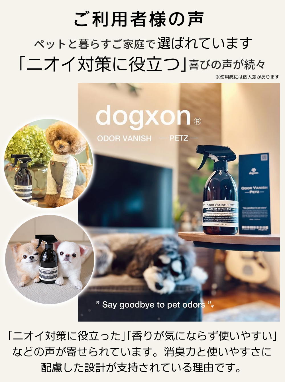 Odor Vanish - Petz （オドバニッシュ・ペッツ） 犬のおしっこ・うんち